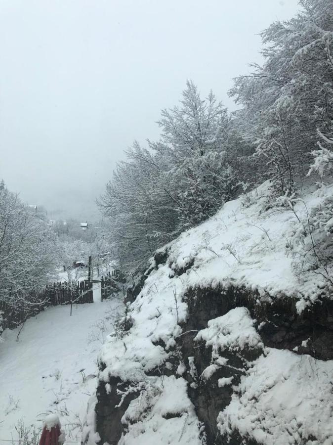 Bed and Breakfast Popock Dilijan 2 Exterior foto