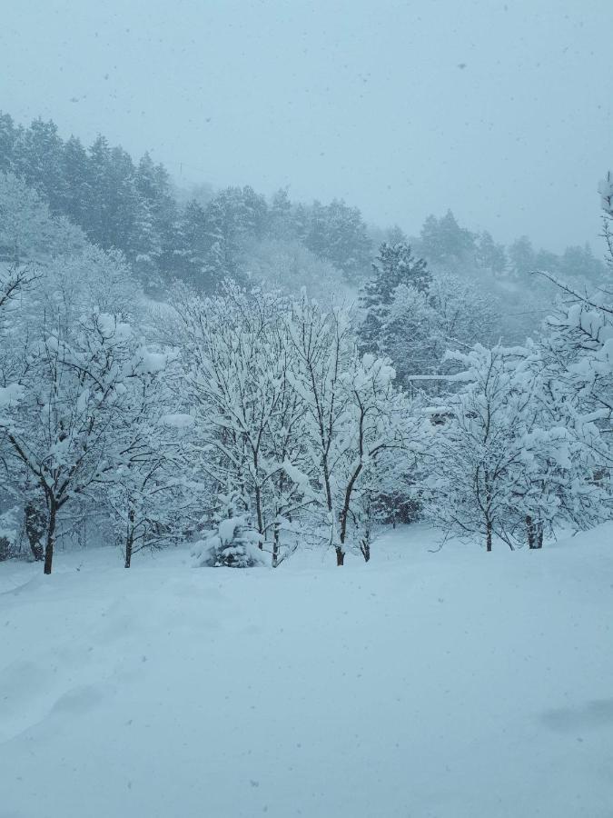 Bed and Breakfast Popock Dilijan 2 Exterior foto